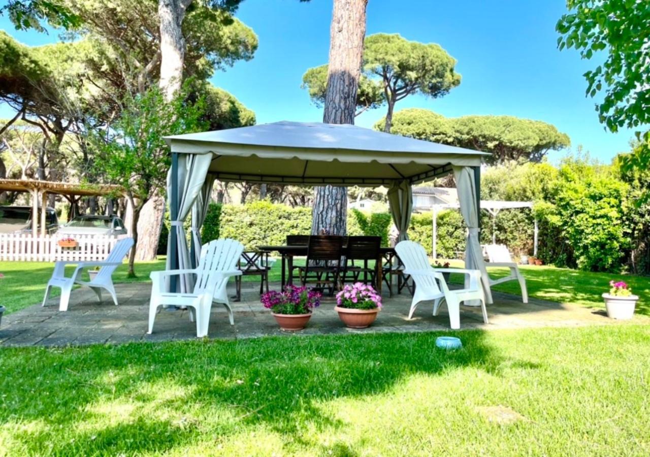 La Meria Di Maria La Terrazza Marina di Grosseto Eksteriør billede